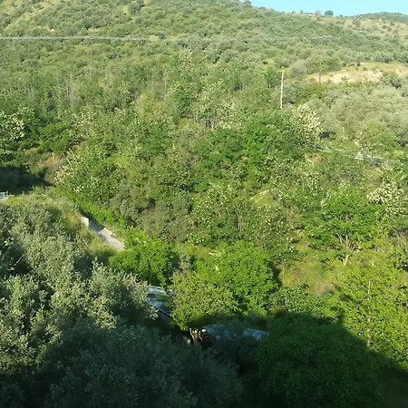 Natura Lejlighed